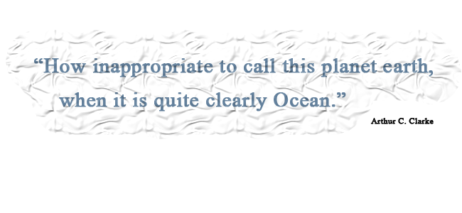 Arthur C. Clarke: How inappropriate to call this planet earth when it is quite clearly Ocean.